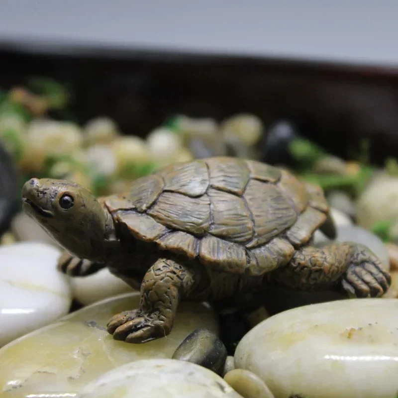 Resin Simulation Small Turtle  - огляд і ціна Succulent Set