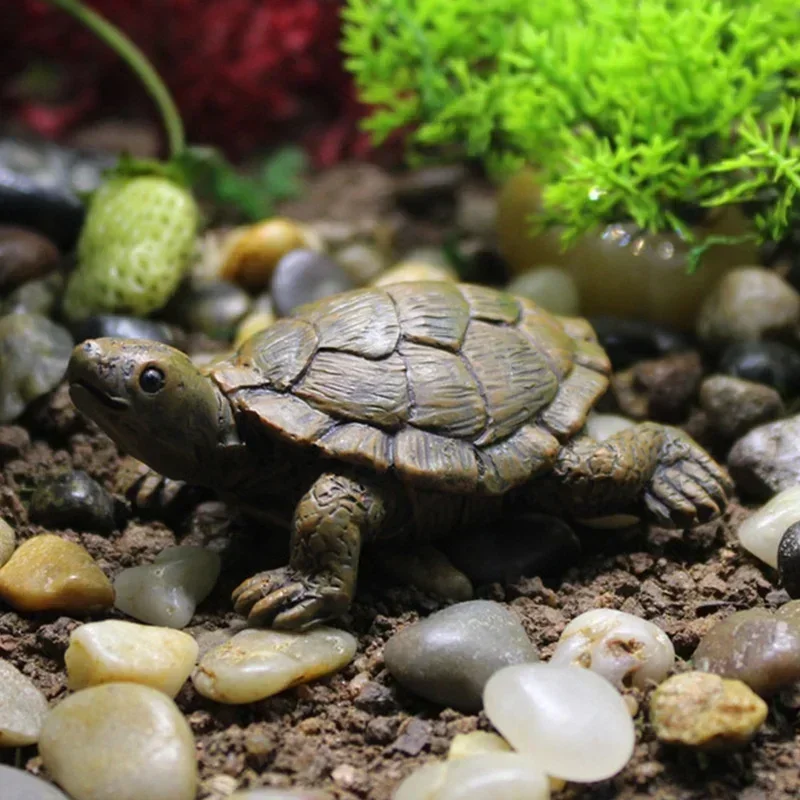 Resin Simulation Small Turtle  - огляд і ціна Succulent Set