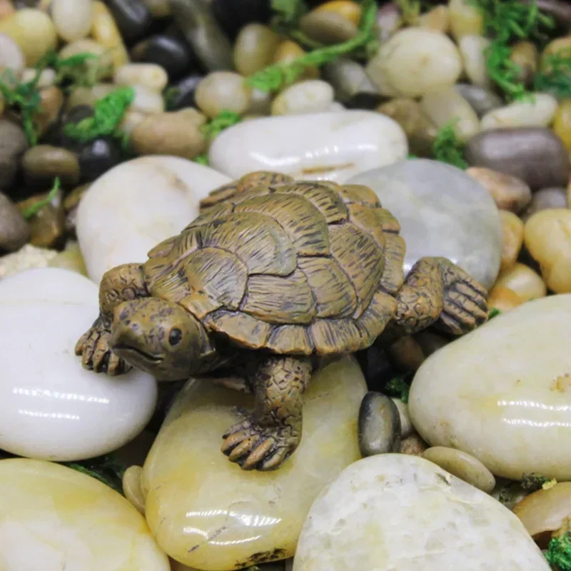 Resin Simulation Small Turtle  - огляд і ціна Succulent Set