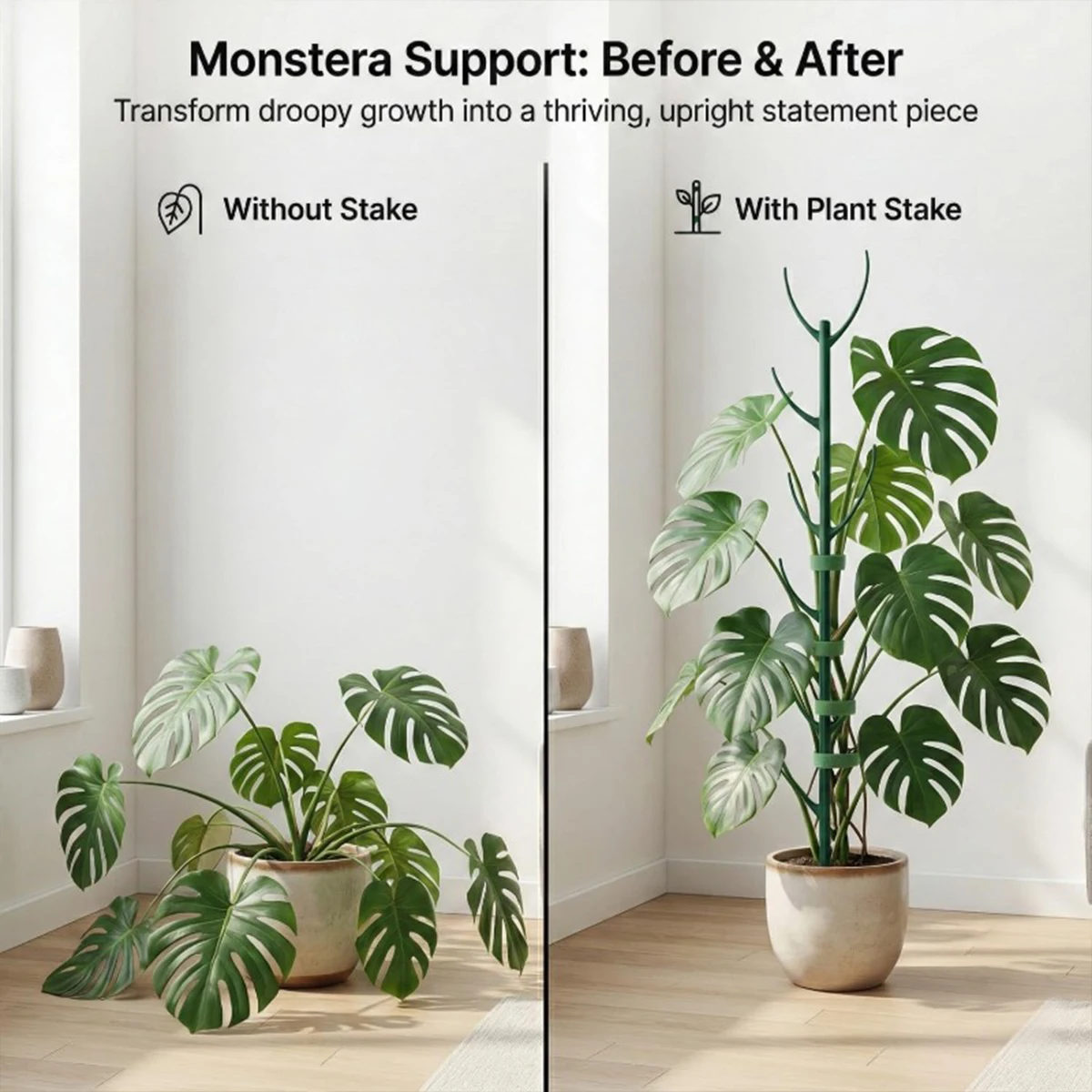 6Pcs Monstera Plant Support Se - огляд і ціна Plant Support Stake