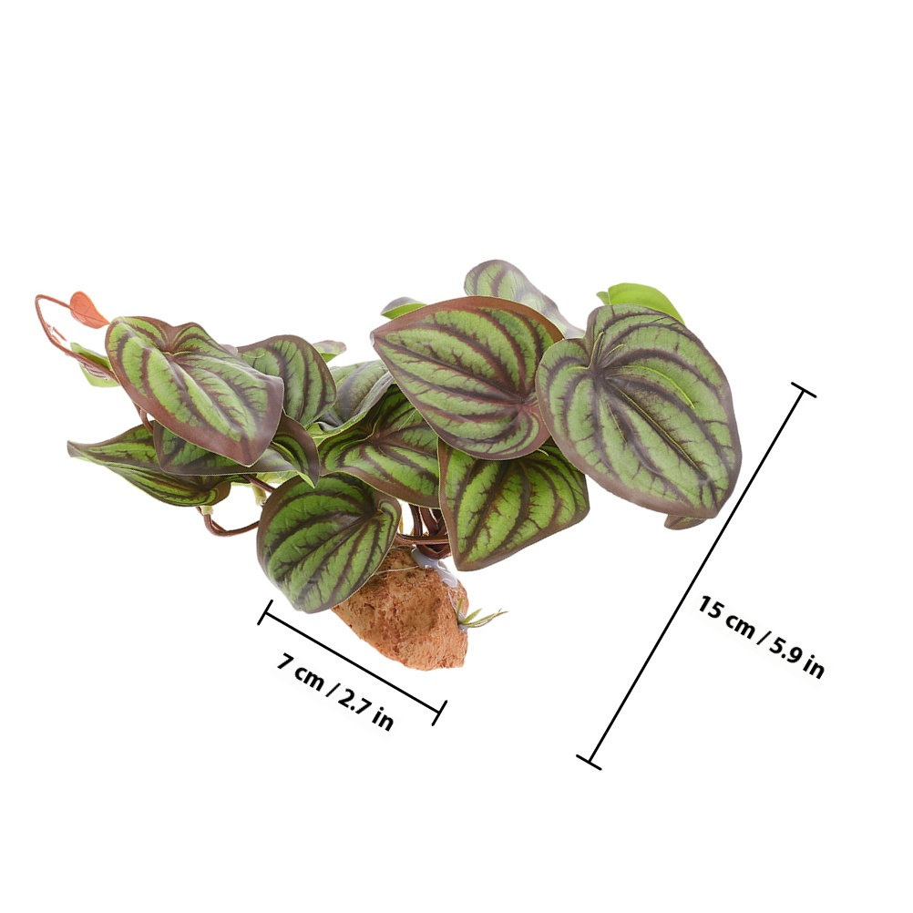 High Quality Simulation Terrar - огляд і ціна Snake Plant