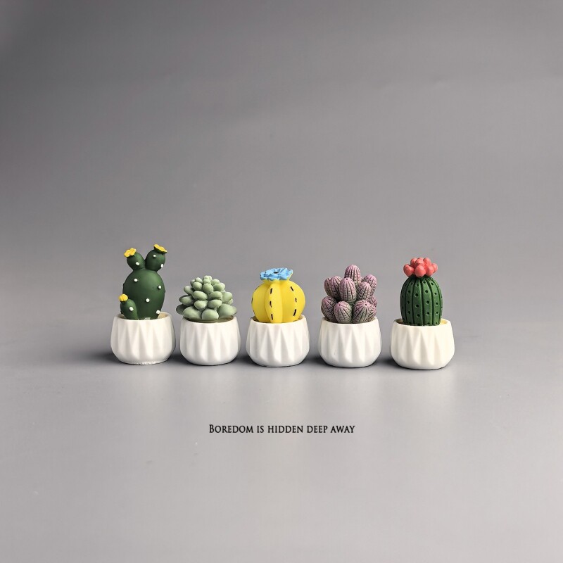 Potted Cactus Succulent Mini W - огляд і ціна Succulent Set
