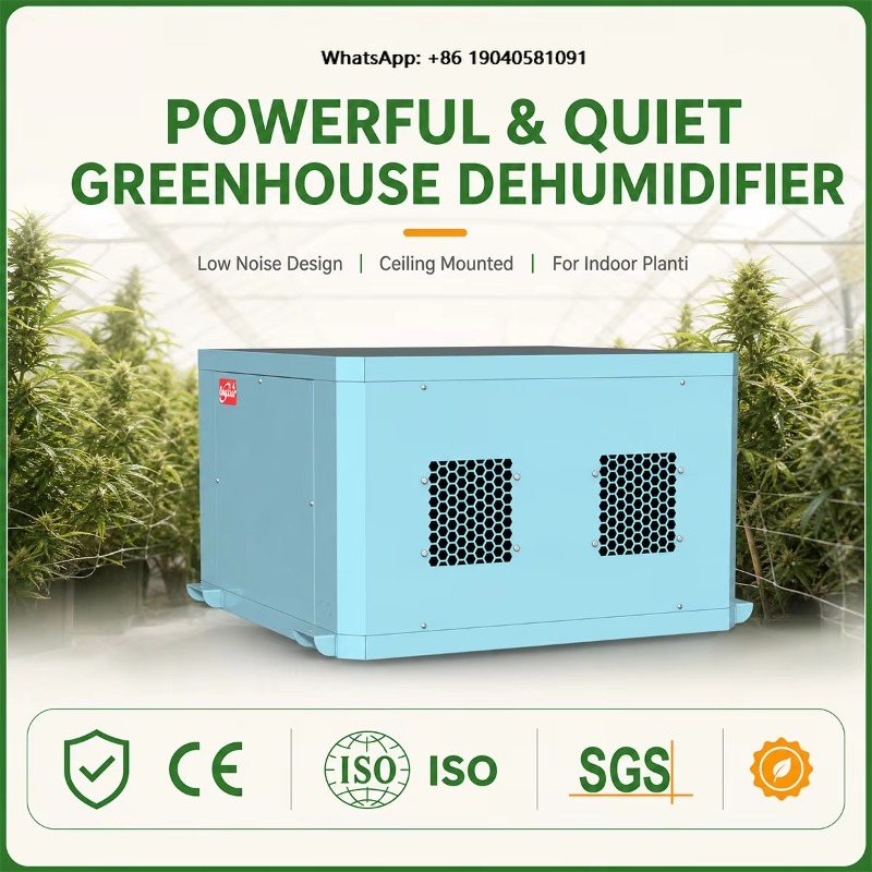 Powerful Greenhouse Dehumidifi - огляд і ціна Indoor Plants